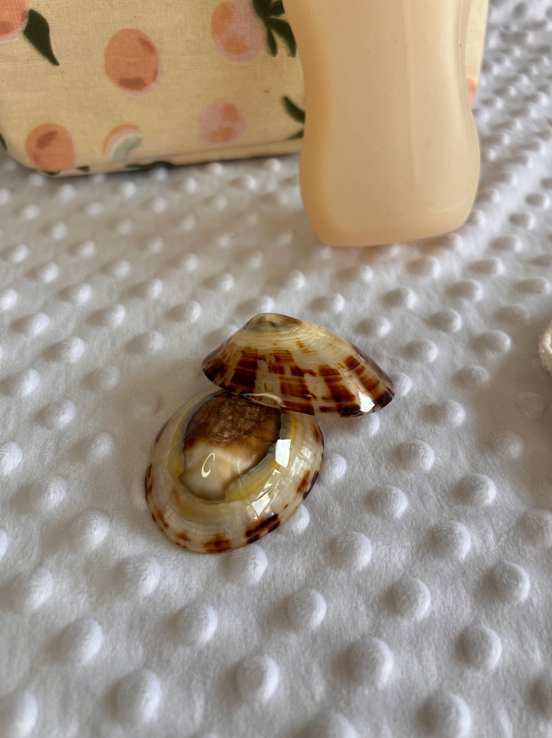 Box Naissance Allaitement Maman et bébé : Les accessoires indispensables