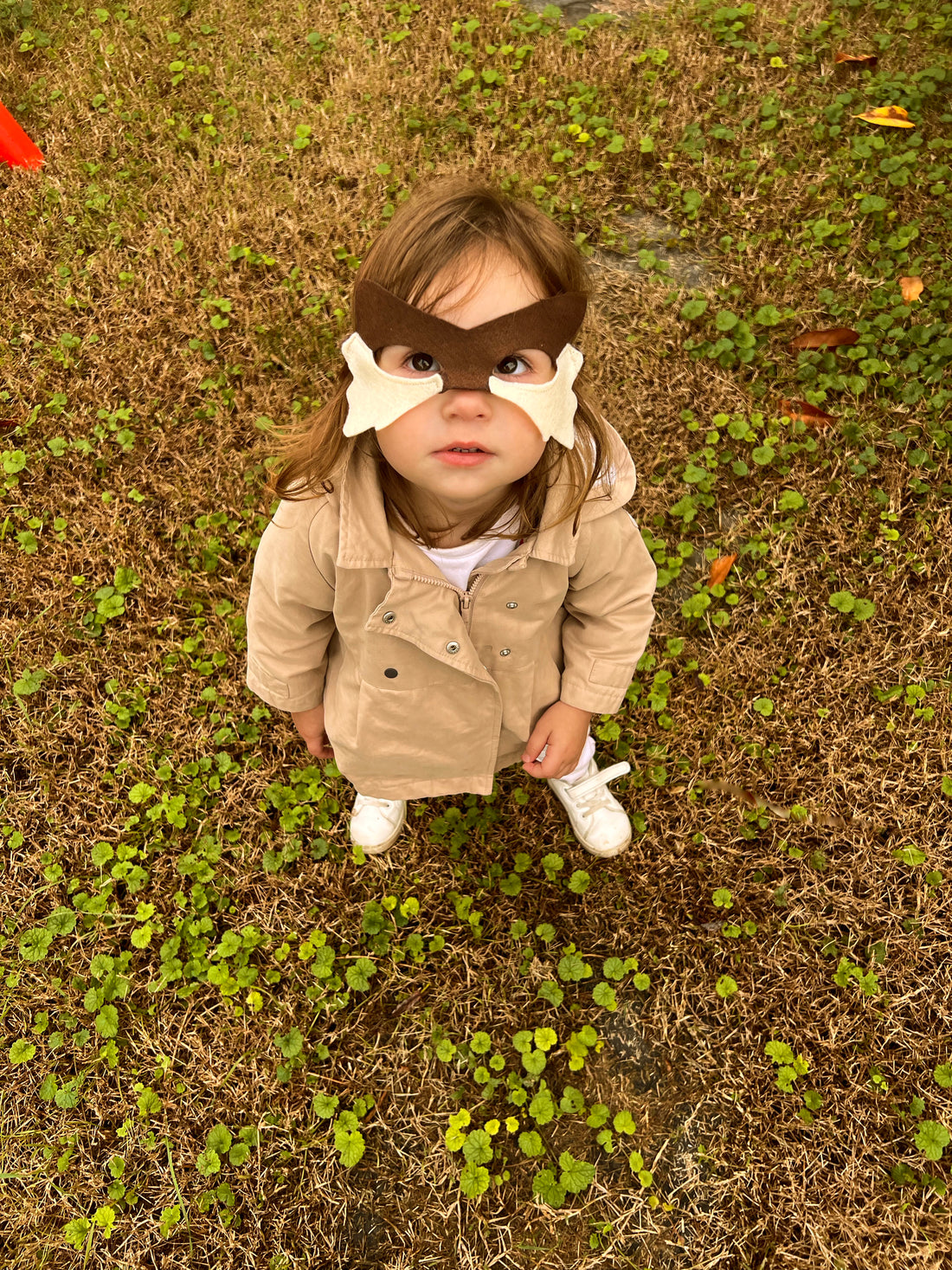 Halloween : Activités et Conseils pour Amuser Vos Tout-Petits